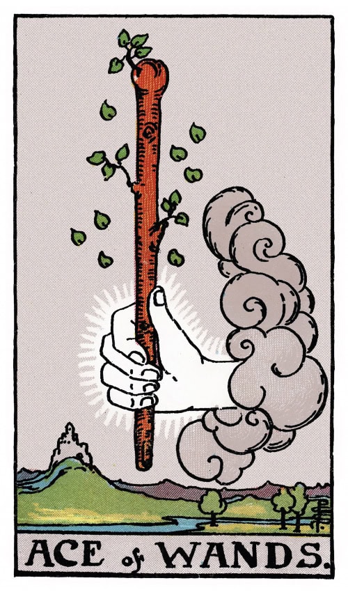 22 ace of wands 1